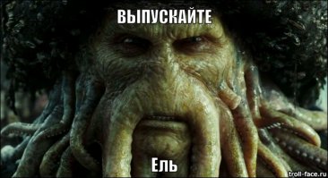 25 шикарных фотографий, которые не каждый день увидишь