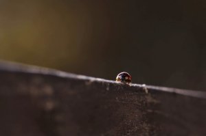 Фотоподборка за 18.09.2015