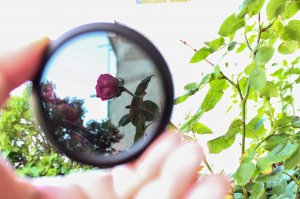 Фотоподборка за 18.09.2015