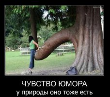 В НАШЕЙ жизни всё прикол!!!