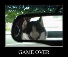 Опасность социальных сетей: готов ли ваш сын на встречу с незнакомкой из интернета?