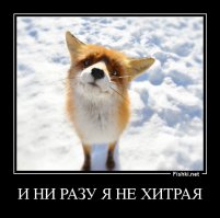 Лисичка 