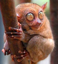 Минздрав вас уже устал предупреждать!