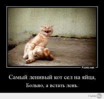 Лентяи в природе