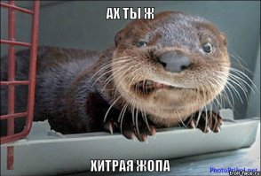 КСТАТИ ДА!!! А Я ВНИМАНИЯ НЕ ОБРАТИЛ