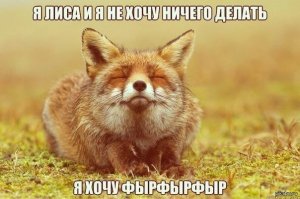 Лисичка 