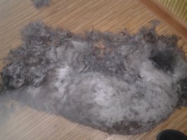 Большая стрижка