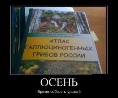 блин где продают этот источник мудрости?
