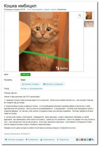 30 самых умопомрачительных объявлений с Авито