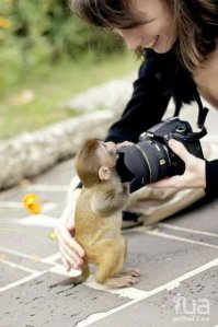 Фотограф, которому доверяют животные