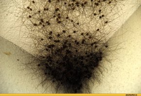 25 фотографий, сломавших стереотип о бесполезности углов