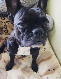 10 знаменитых мужчин, за всю жизнь переспавших с более чем 1000 женщин