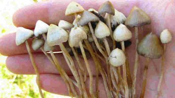 25 удивительных картин "русского Сальвадора Дали"