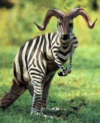 16 оптических иллюзий, сбивающих с толку