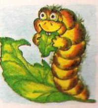 гусеница! 0_о