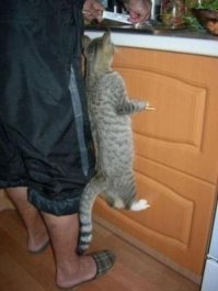 Фотоподборка за 21.09.2015