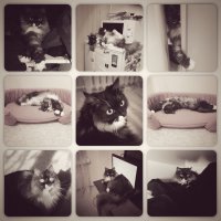 Красотуля! У нас похожая история. Только наша была уже отдуплившаяся, но всё равно, только "от сиськи". И вот результат: