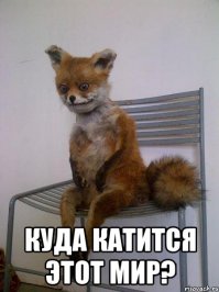 Сохрани мои чернила: эта компания предлагает повесить татуировки умерших близких на стены