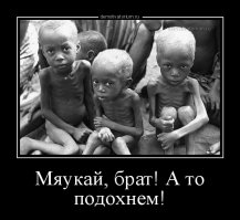 Не бойтесь подобрать таких маленьких