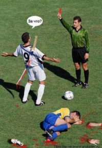 Фотоподборка за 21.09.2015