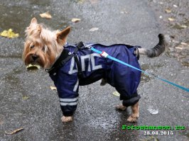 Стырил фотку и рад без мерно. Свои наснимай и выложи.