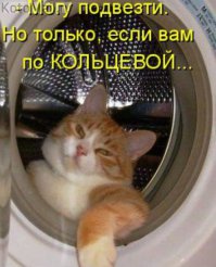 Когда деньги решают всё: съем девушек на Lamborghini 