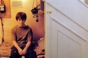 Что если Гарри был сиротой с шизофренией, который никогда не покидал кладовку и выдумал весь этот магический мир, чтобы чувствовать себя лучше..