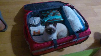 Наш найдёныш (Соня) и хозяин дома)))