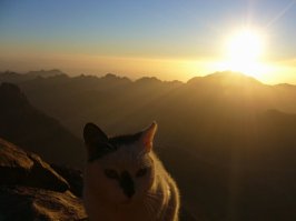 25 удивительных фотографий, которые стоят вашего внимания