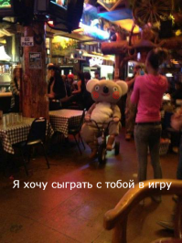 Фотоподборка за 21.09.2015