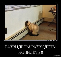 10 фактов о волосах на мужском теле, которые многое проясняют