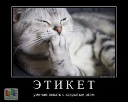 Правила хорошего тона, которые стыдно не знать 