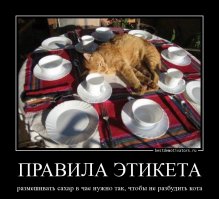 Правила хорошего тона, которые стыдно не знать 