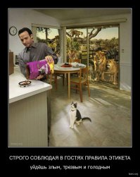 Правила хорошего тона, которые стыдно не знать 