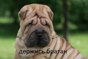 За 10 лет китайский юноша превратился в старика