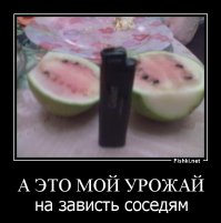 Подборка демотиваторов, которые поднимут вам настроение!