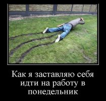 Подборка демотиваторов, которые поднимут вам настроение!