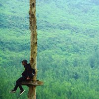 Теперь понятно почему женщины живут дольше мужчин!