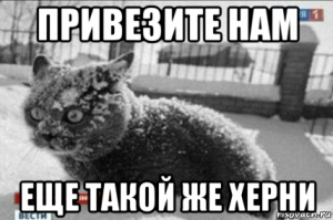 Один климатическим оружием бредит, вторая ракеты приёмником радиоволн сбивает..