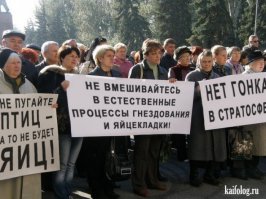 Прикольные надписи, которые развеселят кого угодно 