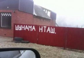 Прикольные картинки