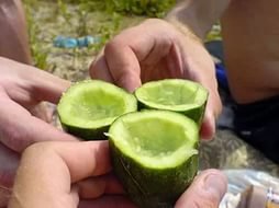 У нас огуречные стаканы были))) И обычно всё заканчивалось вопросом- КТО СТАКАН СЪЕЛ???????????