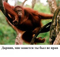 Вы видели как он берет в рот ? Приколы с людьми