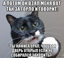 Жизнь с котами и кошками 
