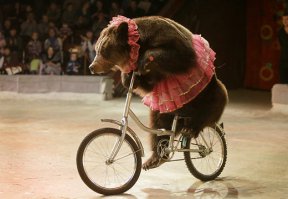 Цирк уехал......