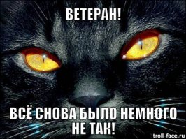 Хана барсику (хозяевам котов на заметку)