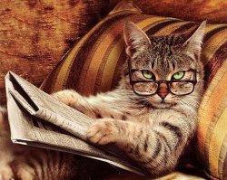 Можно было и автора указать, а не просто скопипастить.
Автор сего произведения Виктория Райхер.
Который раз читаю - аж до слёз пробирает!