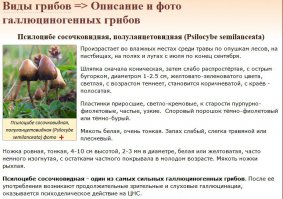 я конечно не спец, но загуглить смог