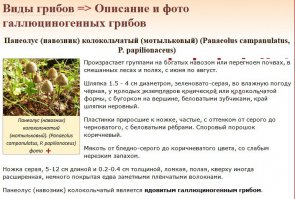 я конечно не спец, но загуглить смог