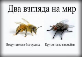 Грязный дом в плохом районе Америки за 18 миллионов рублей